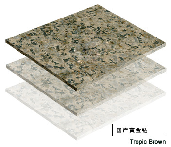 China Tropical Brown granite tiles